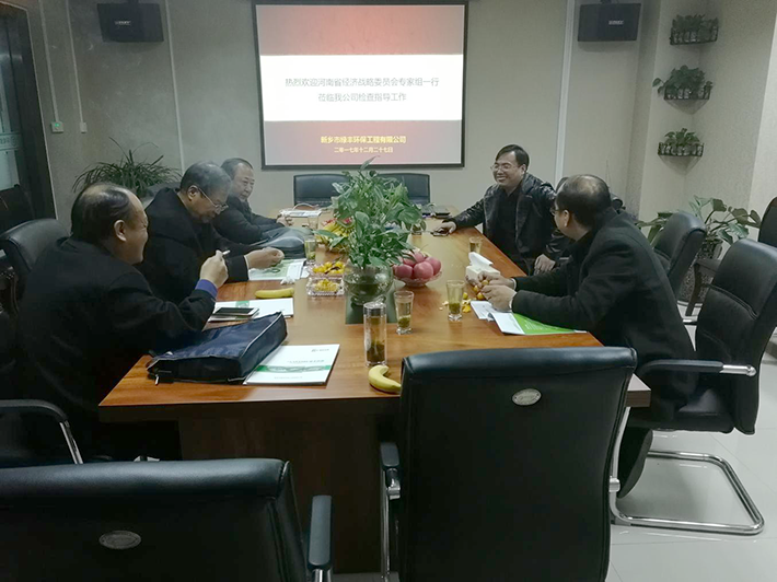 河南省經濟戰略委員會專家組蒞臨綠豐環保檢查指導工作