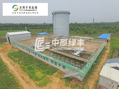 萬邦千禾水量1000m3/d豆制品生產廢水案例