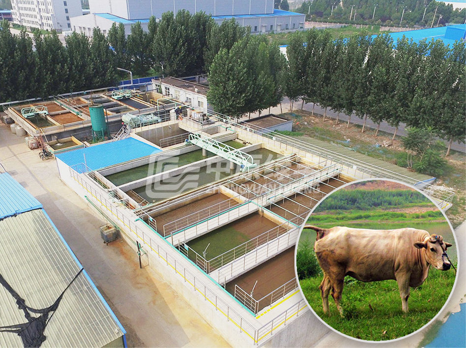 牛屠宰廢水處理工程
