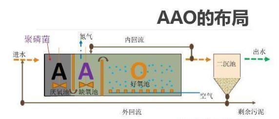 食品廢水處理AAO工藝和倒置AAO工藝的區別是什么?